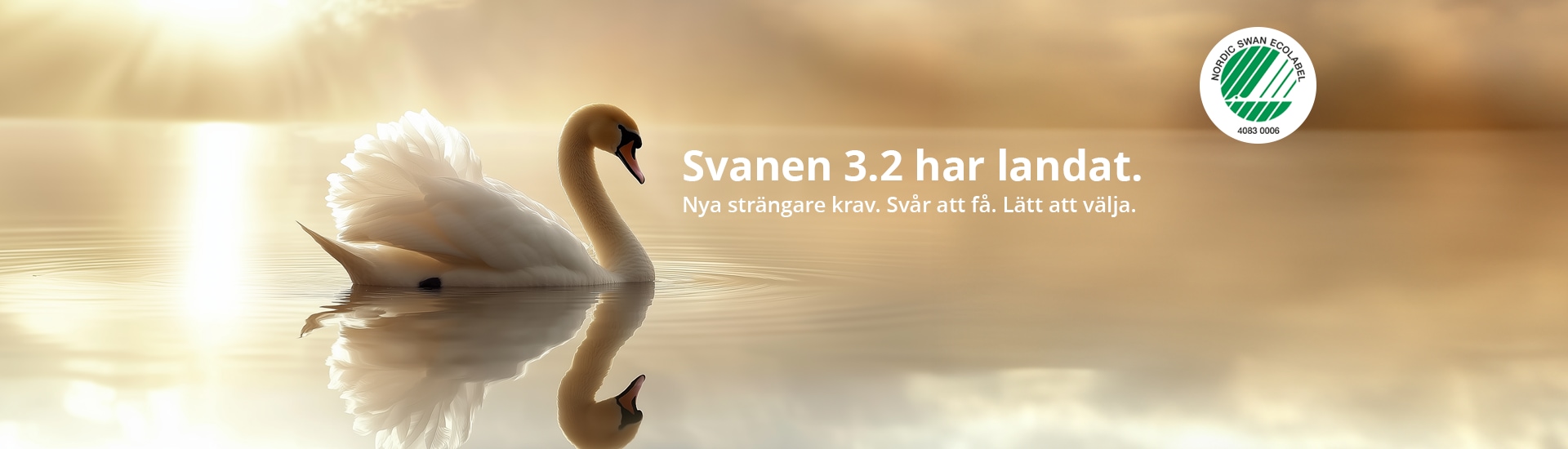 SE_Swan_3-2_Header.png